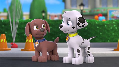 paw patrol video|paw patrol video free episodes.